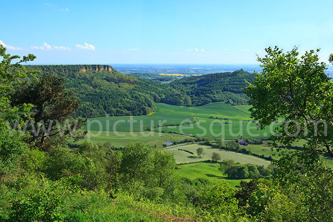 Sutton Bank Cards & Gifts