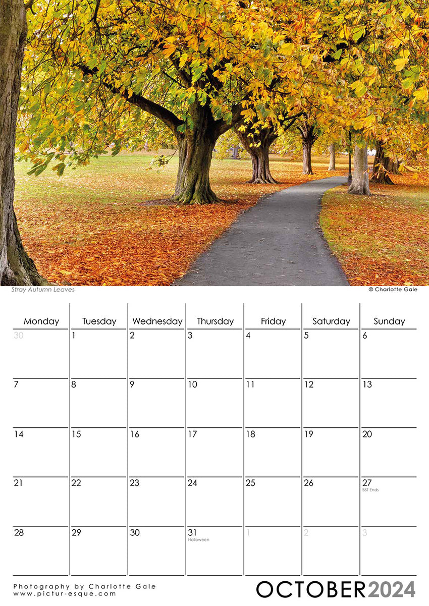 Stray Autumn Leaves Harrogate 2024 Wall Calendar