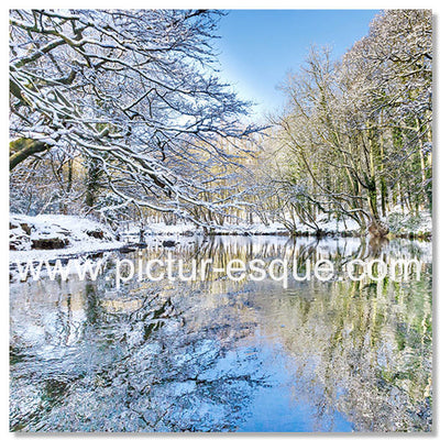 Nidd Gorge in Winter blank greetings card by Charlotte Gale Photography