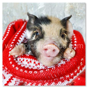 4 'Pigs in Blankets' Blank Mini Notecards
