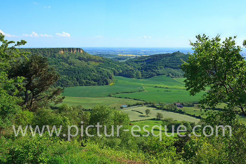 View from Sutton Bank by Charlotte Gale