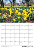 Stray Daffodils Harrogate 2024 Wall Calendar