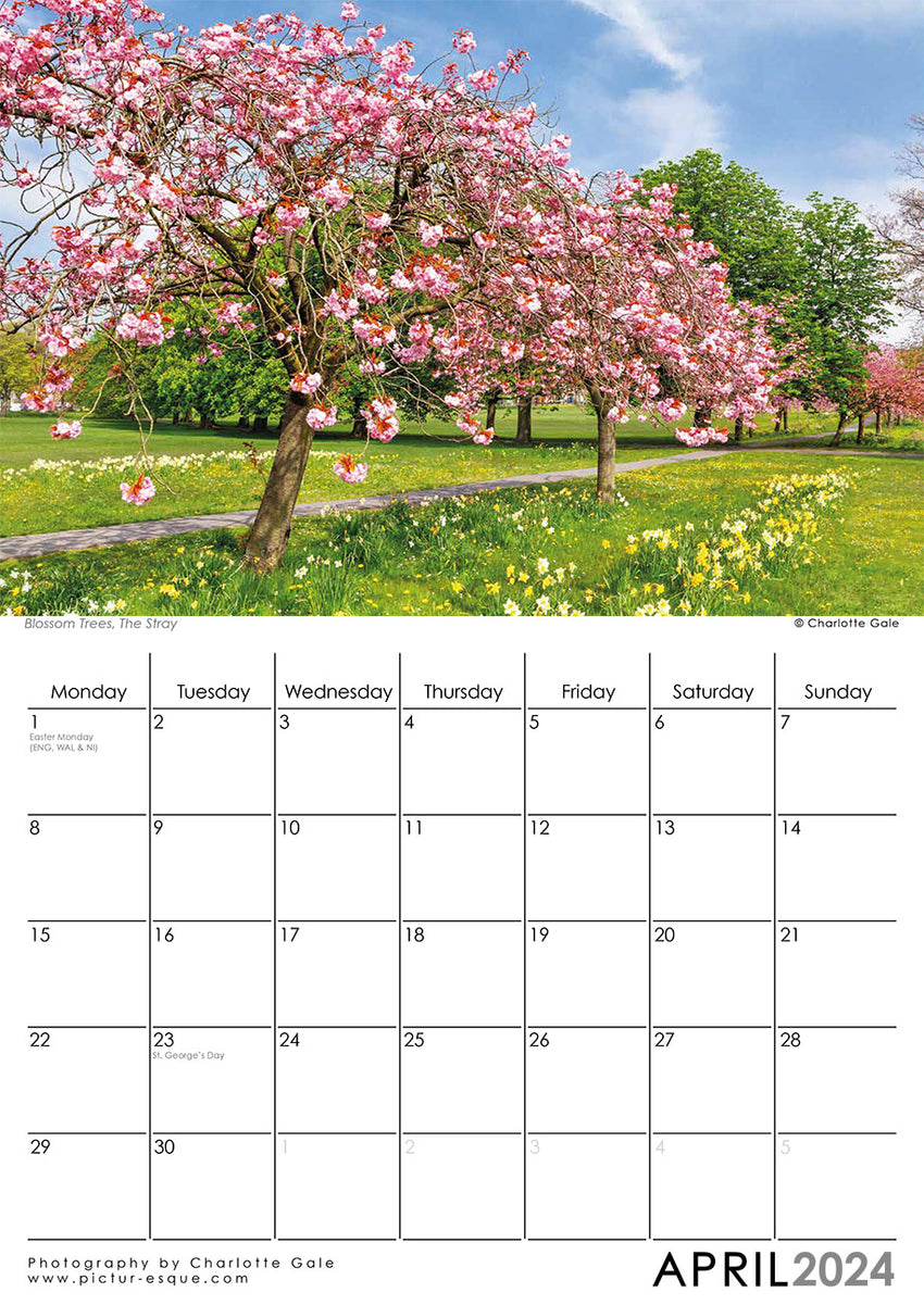 Stray Blossom Trees Harrogate 2024 Wall Calendar