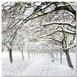 Snowy Stray Harrogate blank greetings card by Charlotte Gale Photography