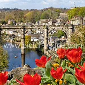 Knaresborough Viaduct Flowers blank greetings card by Charlotte Gale Photography