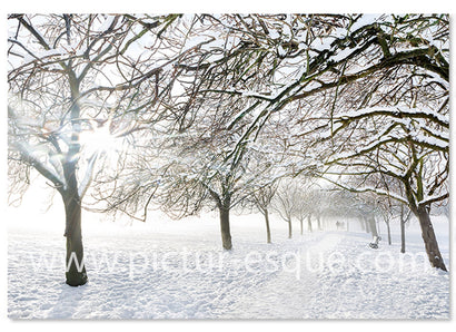 Harrogate Stray Snow Luxury Christmas Card by Charlotte Gale Photography