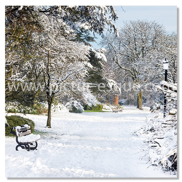 Valley Gardens Snow Christmas Card by Charlotte Gale