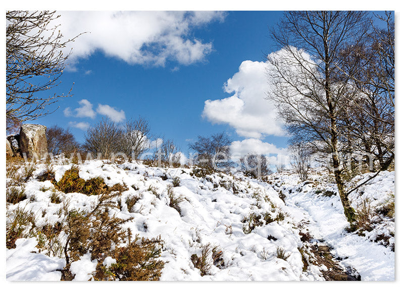 Nidderdale in the Snow Yorkshire Dales Christmas card by Charlotte Gale Photography