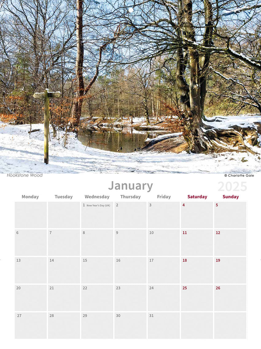 Harrogate 2025 Wall Calendar by Charlotte Gale Photography