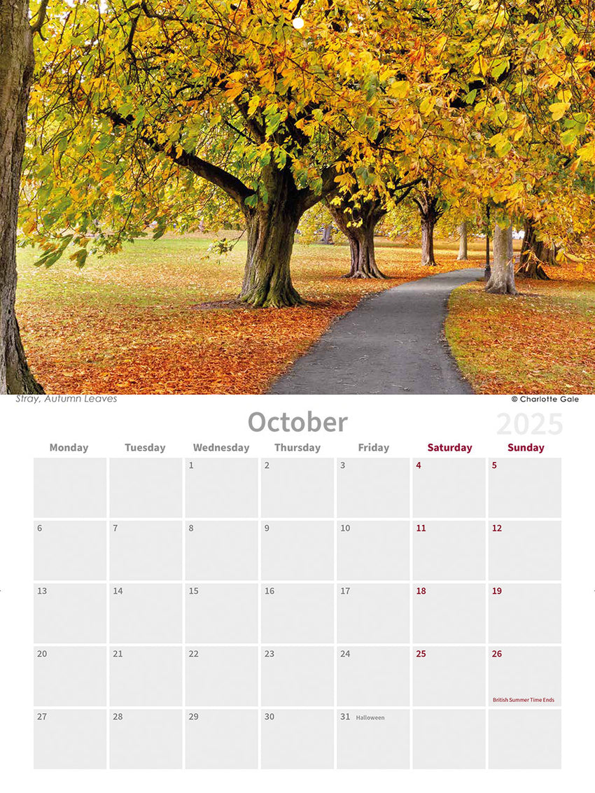 Harrogate 2025 Wall Calendar by Charlotte Gale Photography