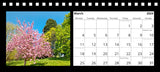 Knaresborough Desk Calendar 2024 by Charlotte Gale