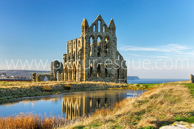 Whitby Abbey Reflections Canvas by Charlotte Gale