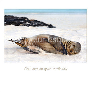 'Just Chilling' Blank Sea Lion Birthday Card