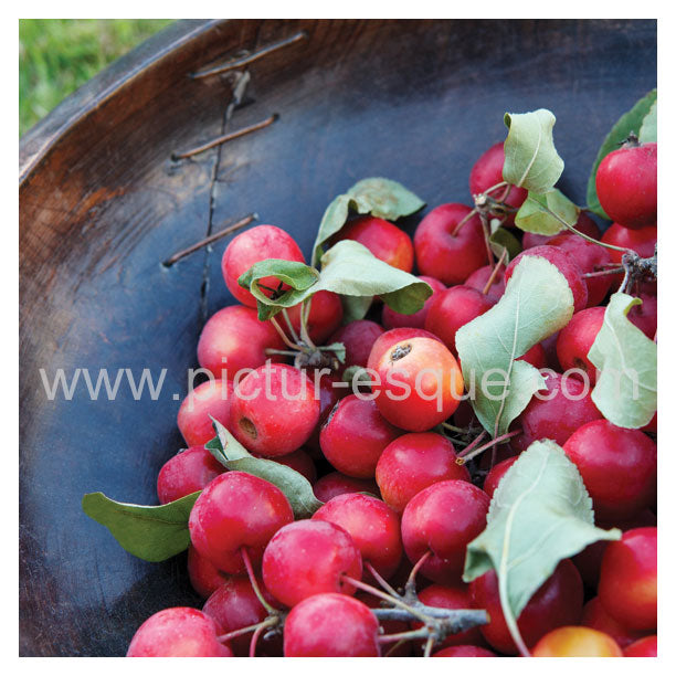 A vibrant collection of crab apples in a wooden bowl