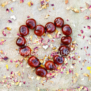 Love Conkers All Blank Card