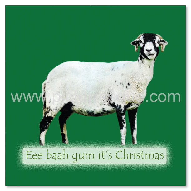 Swaledale Sheep Yorkshire Christmas Cards