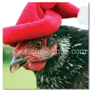 Hen in Christmas Hat Christmas Card
