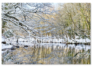 Nidd Gorge in the Snow
