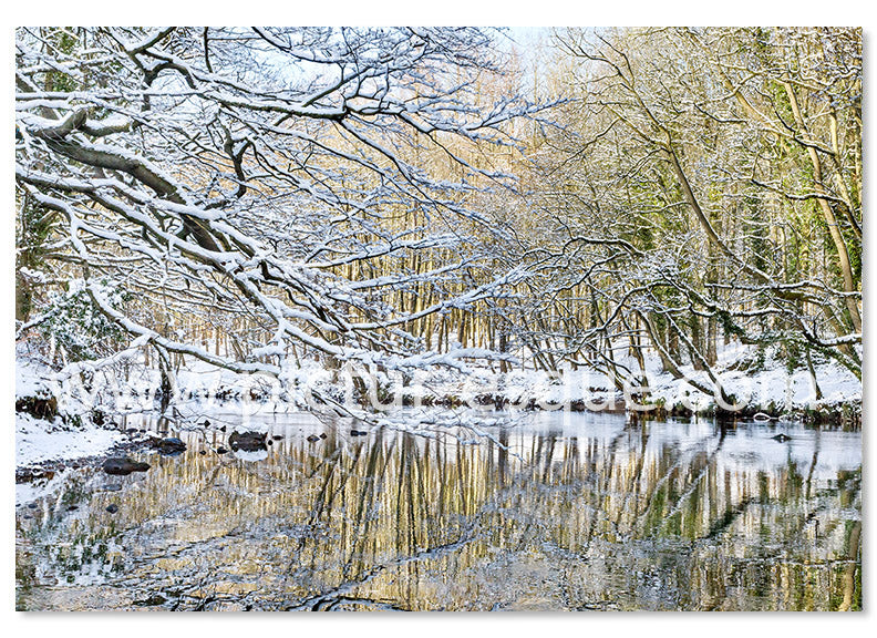 Nidd Gorge in the Snow Christmas card