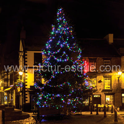 Christmas Tree, Knaresborough Market Place, North Yorkshire Christmas card