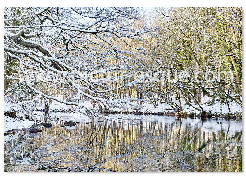 River in the Snow Christmas card