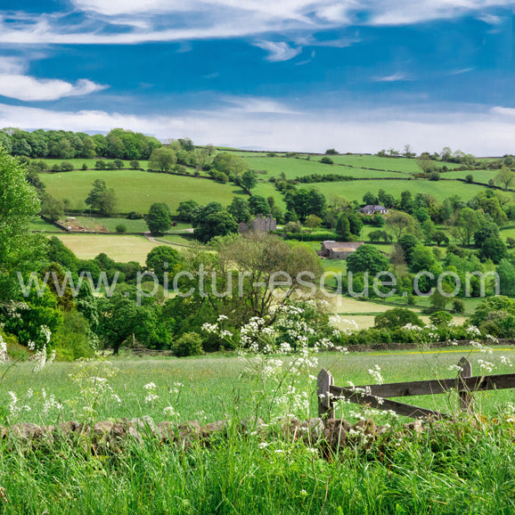 A country view near Dacre Banks in Nidderdale, North Yorkshire