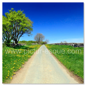 'Country Lane' Blank Square Greetings Card