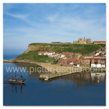 Mixed Pack 4 Whitby Blank Mini Notecards