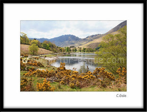 Landscape Photo Gift Package